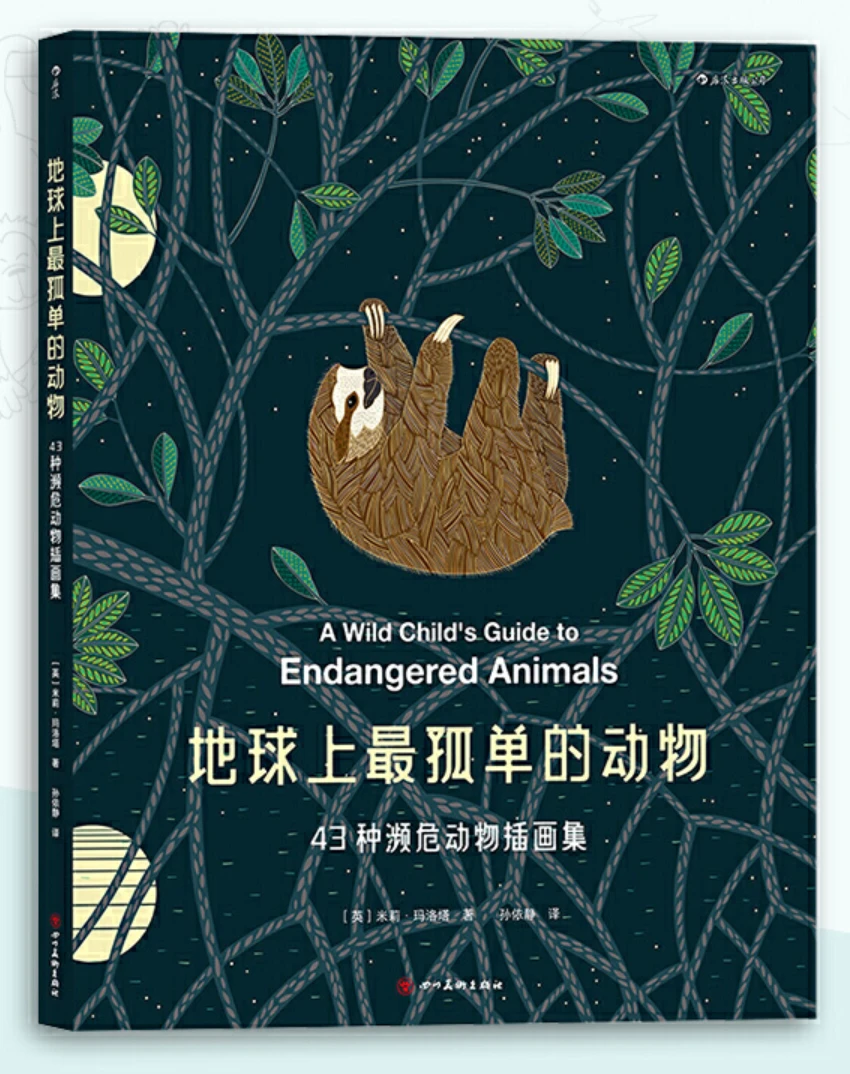 如何利用反馈制定个性化的篮球训练计划_1